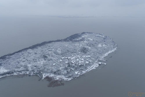 江蘇大樂之野 余山島 在線預(yù)訂與價格查詢——第六感精品別墅與文化藝術(shù)咨詢指南
