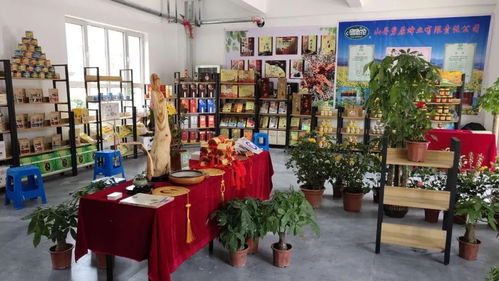 我縣文化精品閃耀張掖敦煌寫(xiě)經(jīng)書(shū)法藝術(shù)節(jié)