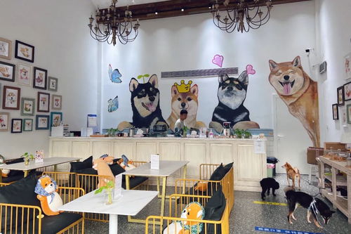 身邊的美學(xué)空間 蘇州這幾處公共文化體驗(yàn)空間，文藝小資且充滿藝術(shù)靈感